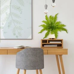 Green Fern Pick, 6ct. -Michaels Shop D351336S 3