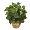 14" Pothos Plant In Ceramic Planter 1 14" Pothos Plant In Ceramic Planter -Michaels Shop D351341S 1