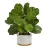 15" Fiddle Leaf Tree In White Planter 1 15" Fiddle Leaf Tree In White Planter -Michaels Shop D351351S 1