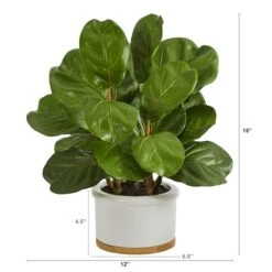 15" Fiddle Leaf Tree In White Planter -Michaels Shop D351351S 2