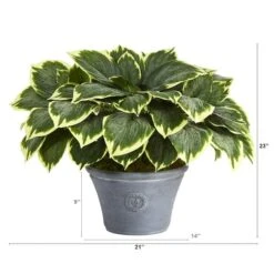 23" Variegated Hosta In Gray Planter -Michaels Shop D351511S 2
