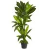 3ft. Dracaena Artificial Plant (Real Touch) -Michaels Shop D351742S 1