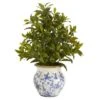 28" Coffee Leaf Artificial Plant In Vintage Floral Planter (Real Touch)