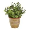 10" Eucalyptus & Sedum Succulent Plant In Ceramic Planter -Michaels Shop D352406S 1