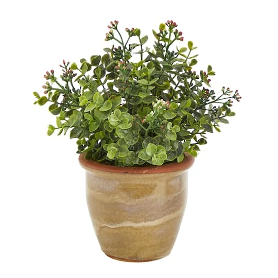 10" Eucalyptus & Sedum Succulent Plant In Ceramic Planter 3 10" Eucalyptus & Sedum Succulent Plant In Ceramic Planter
