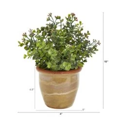 10" Eucalyptus & Sedum Succulent Plant In Ceramic Planter 8 10" Eucalyptus & Sedum Succulent Plant In Ceramic Planter -Michaels Shop D352406S 2