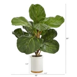 21" Fiddle Leaf Tree In White Ceramic Planter 8 21" Fiddle Leaf Tree In White Ceramic Planter -Michaels Shop D352543S 2