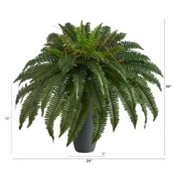2.5ft. Boston Fern Plant In Gray Planter -Michaels Shop D352549S 2