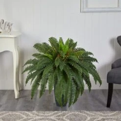 2.5ft. Boston Fern Plant In Gray Planter -Michaels Shop D352549S 3