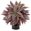 Caladium Artificial Plant In Black Glossy Planter