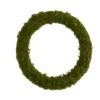 20" Green Moss Wreath -Michaels Shop D386408S 1