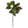 White Magnolia Stem, 4ct. -Michaels Shop D386484S 11