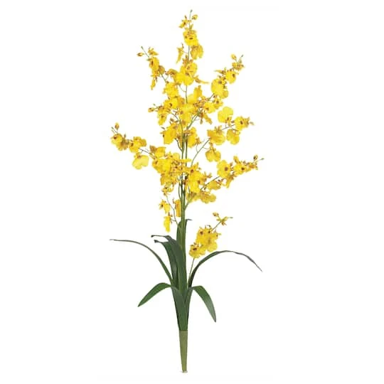Dancing Lady Orchid Stem, 12ct. Yellow 3 Dancing Lady Orchid Stem, 12ct. Yellow