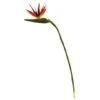 Large Artificial Bird Of Paradise Stem, 4ct. 1 Large Artificial Bird Of Paradise Stem, 4ct. -Michaels Shop D386496S 1