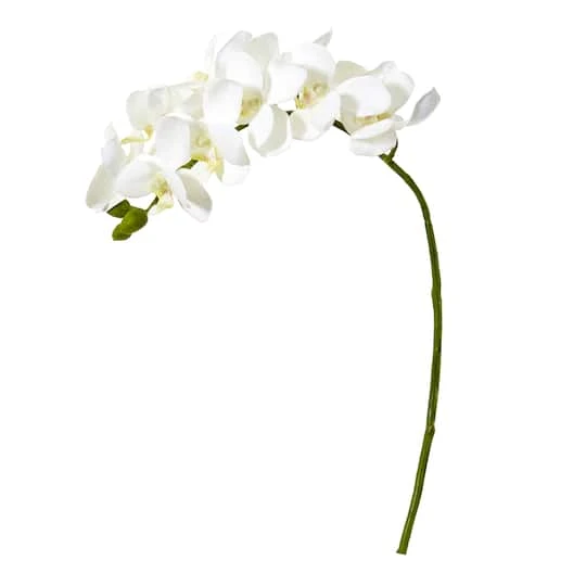 Moth Orchid Stem, 6ct. White 4 Moth Orchid Stem, 6ct. White - Image 2