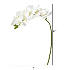 Moth Orchid Stem, 6ct. White 7 Moth Orchid Stem, 6ct. White -Michaels Shop D386498S 2