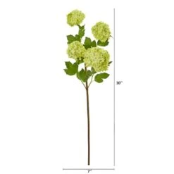 Green Snowball Hydrangea Stem, 3ct. 9 Green Snowball Hydrangea Stem, 3ct. -Michaels Shop D386540S 12