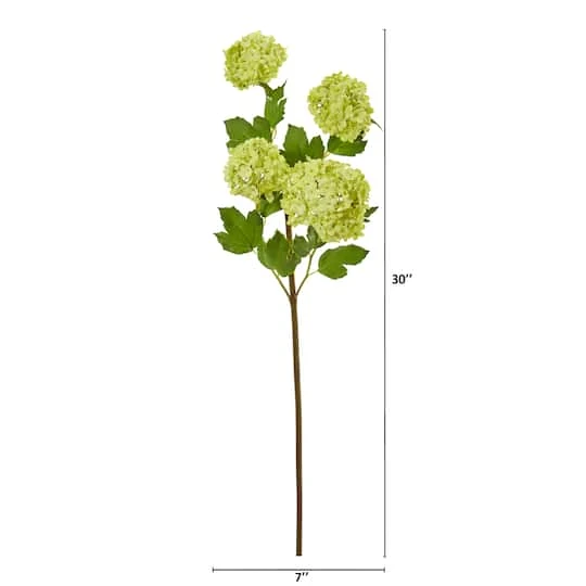 Green Snowball Hydrangea Stem, 3ct. 5 Green Snowball Hydrangea Stem, 3ct. - Image 3