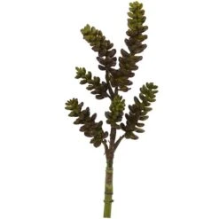 Green Succulent Stem, 12ct. -Michaels Shop D386558S 1 1