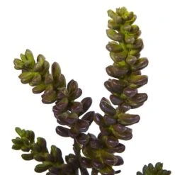 Green Succulent Stem, 12ct. -Michaels Shop D386558S 2