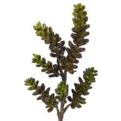 Green Succulent Stem, 12ct. -Michaels Shop D386558S 3