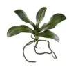 7" Phalaenopsis Orchid Leaf Artificial Flower (Set Of 6) -Michaels Shop D386566S 11