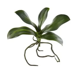 7" Phalaenopsis Orchid Leaf Artificial Flower (Set Of 6)