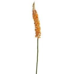Orange Fox Tail Flower Stems, 3ct.