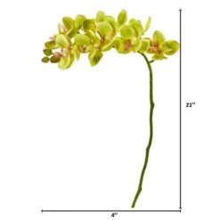 Moth Orchid Stem, 6ct. Green -Michaels Shop D386582S 2