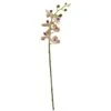 Moth Orchid Artificial Flower, 4ct. -Michaels Shop D386594S 1