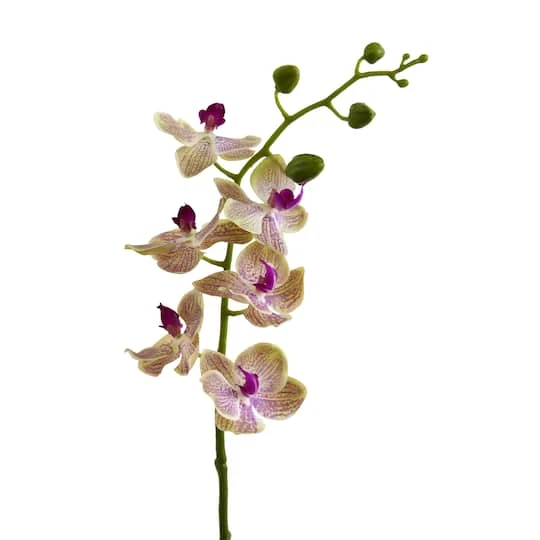 Moth Orchid Artificial Flower, 4ct. 5 Moth Orchid Artificial Flower, 4ct. - Image 3