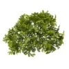 Green Moss Bush, 12ct. -Michaels Shop D386611S 1