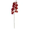 Red Autumn Moth Orchid Flower Stems, 6ct. -Michaels Shop D386619S 1
