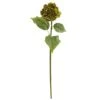 Hydrangea Stem, 4ct. Green -Michaels Shop D386647S 1