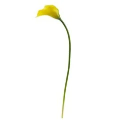 19.5" Calla Lily Artificial Flower Set Yellow 9 19.5" Calla Lily Artificial Flower Set Yellow -Michaels Shop D386652S 2
