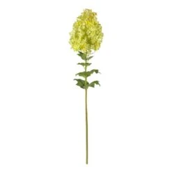 Green Peegee Hydrangea Flower Stem, 2ct.