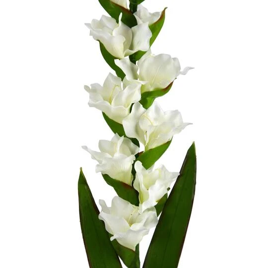 White Gladiolus Flower Stems, 3ct. 6 White Gladiolus Flower Stems, 3ct. - Image 4