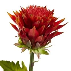 33" Tropical Artificial Flower (Set Of 6) -Michaels Shop D386665S 2