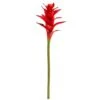 Star Bromeliad Stem, 6ct. Multi