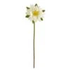 Lotus Flower Stems, 4ct. White 1 Lotus Flower Stems, 4ct. White -Michaels Shop D386717S 1
