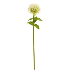 Pincushion Artificial Flower Stem, 6ct. White -Michaels Shop D386748S 1 1