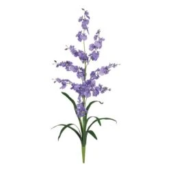 Dancing Lady Orchid Stem, 12ct. Purple