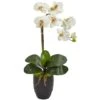 Phalaenopsis Orchid In Black Vase -Michaels Shop D386854S 1