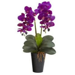 23" Double Orchid Arrangement In Vase Assorted -Michaels Shop D386868S 1 1