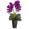 23" Double Orchid Arrangement In Vase Assorted -Michaels Shop D386868S 1