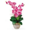 2ft. Double Moth Orchid Silk Flower Arrangement Dark Pink 1 2ft. Double Moth Orchid Silk Flower Arrangement Dark Pink -Michaels Shop D386886S 1