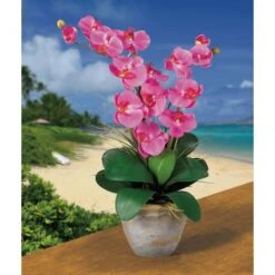 2ft. Double Moth Orchid Silk Flower Arrangement Dark Pink -Michaels Shop D386886S 2