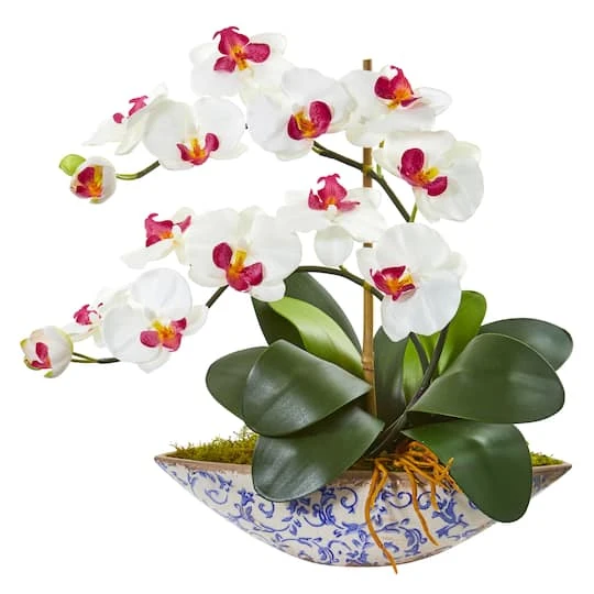 16" Moth Orchid Arrangement In Blue Floral Vase White 4 16" Moth Orchid Arrangement In Blue Floral Vase White - Image 2