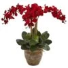27'' Red Triple Stem Moth Orchid In Ceramic Pot -Michaels Shop D386890S 1