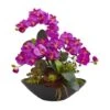 21" Moth Orchid & Mixed Succulent Garden Arrangement In Black Vase Purple 1 21" Moth Orchid & Mixed Succulent Garden Arrangement In Black Vase Purple -Michaels Shop D386902S 1